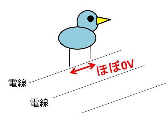 縮尺の計算方法 1 100と1 500などに変換する方法 0分の1を100分の一に換算 白丸くん