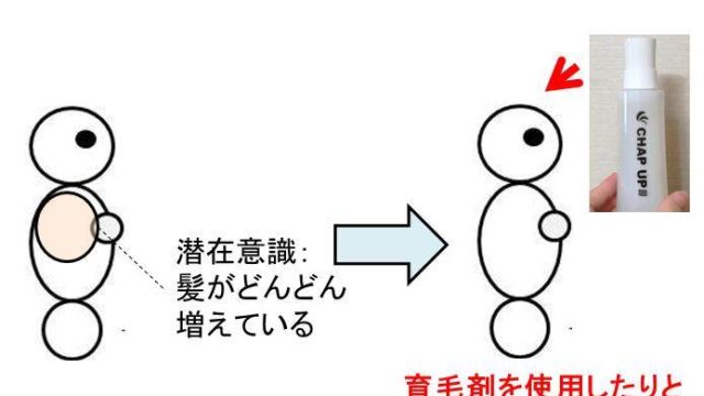 髪を触る癖があると薄毛になるのか 白丸くん