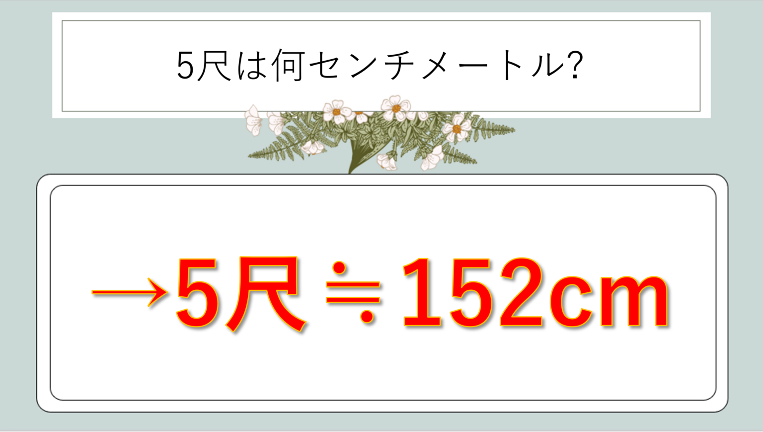 5尺は何センチか(脚立の高さ・長さ等:5尺は何cm)か?計算・換算方法や覚え方のコツも解説!|白丸くん