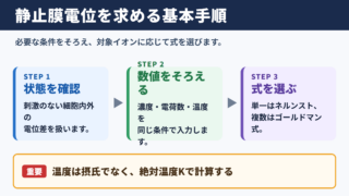 静止膜電位を求める基本手順