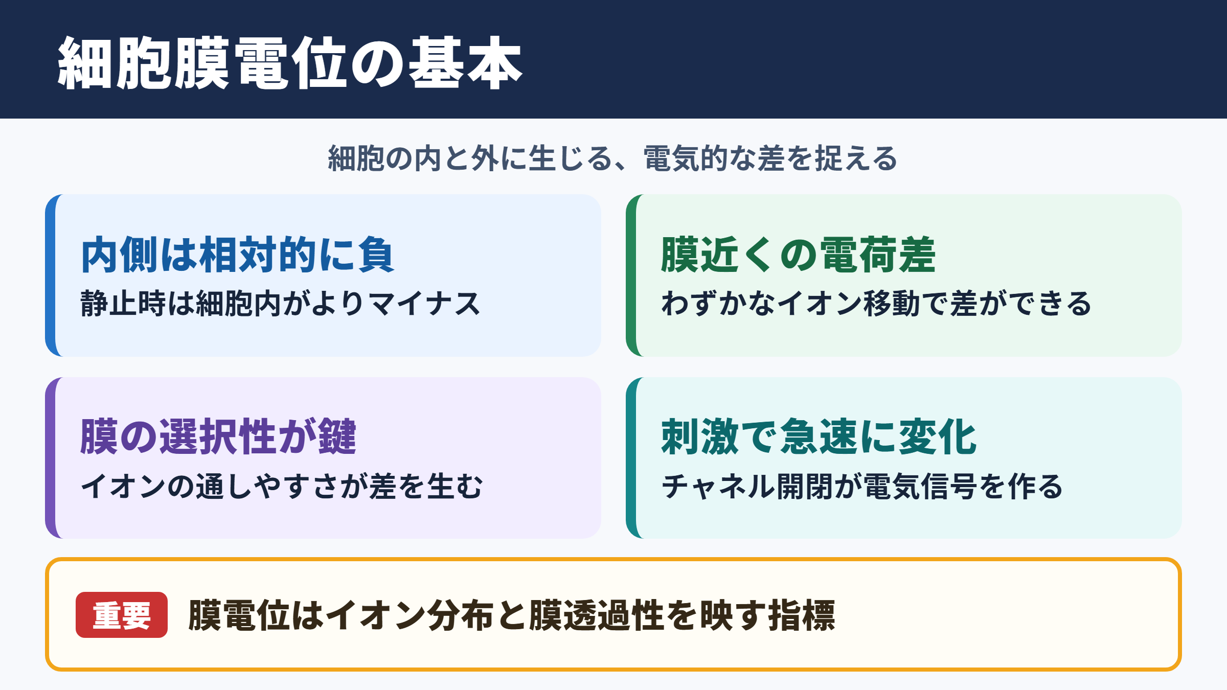 細胞膜電位の基本的な意味