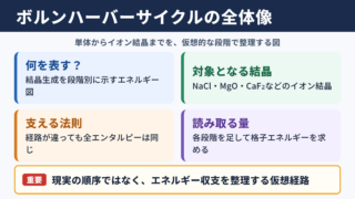 ボルンハーバーサイクルの全体像