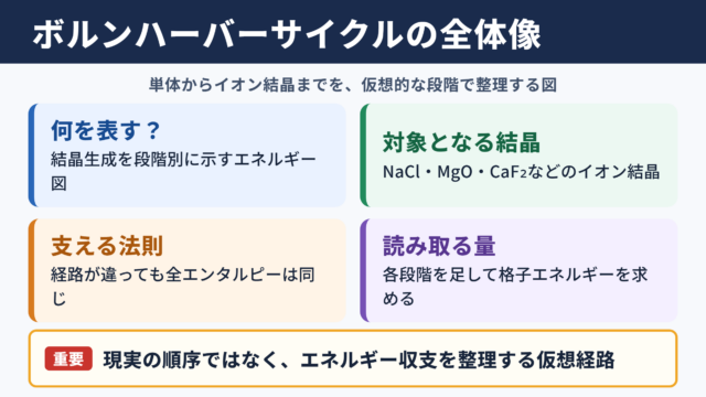 ボルンハーバーサイクルの全体像