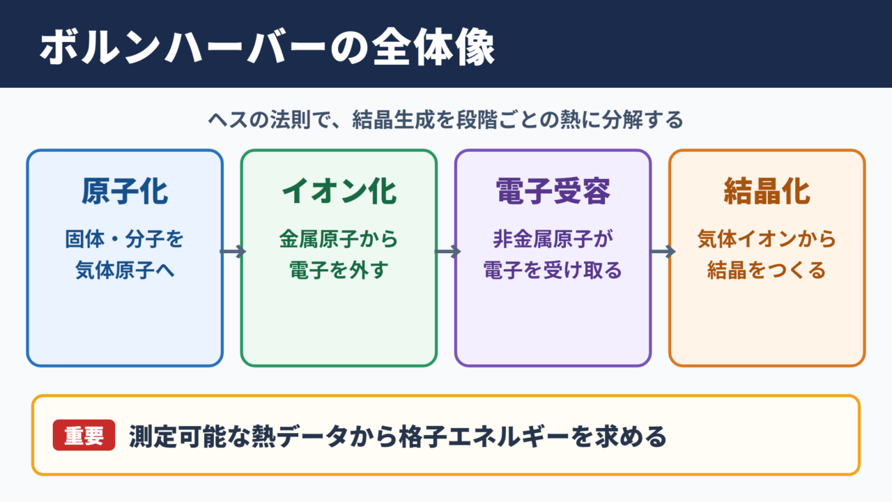ボルンハーバーサイクルの全体像