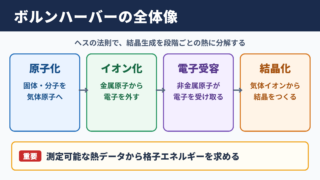 ボルンハーバーサイクルの全体像