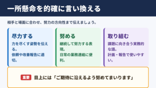 一所懸命の言い換え一覧表とシーン別の使い分け