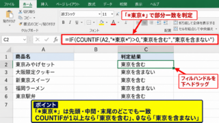 エクセルで特定の文字が含まれていたら判定する方法【COUNTIF関数】 - ワイルドカードを使った部分一致判定