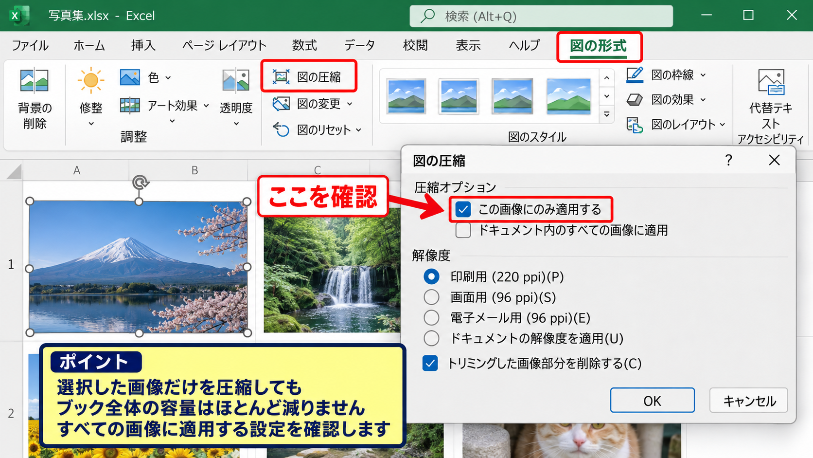 画像を圧縮しても小さくならない原因【圧縮設定と画像形式】 - 選択した画像だけに適用されている状態