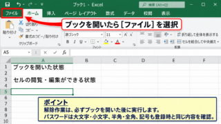 エクセルのファイルパスワードを解除する方法【名前を付けて保存】 - ファイルを開いた状態での確認