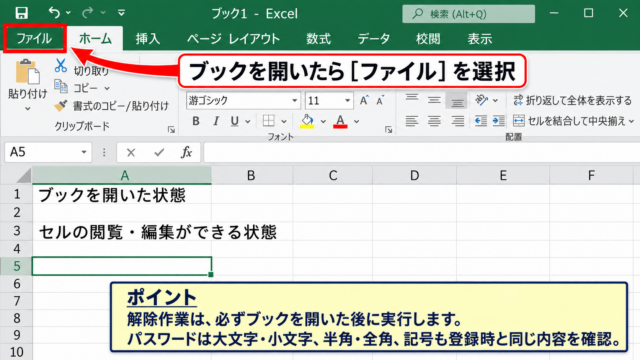 エクセルのファイルパスワードを解除する方法【名前を付けて保存】 - ファイルを開いた状態での確認