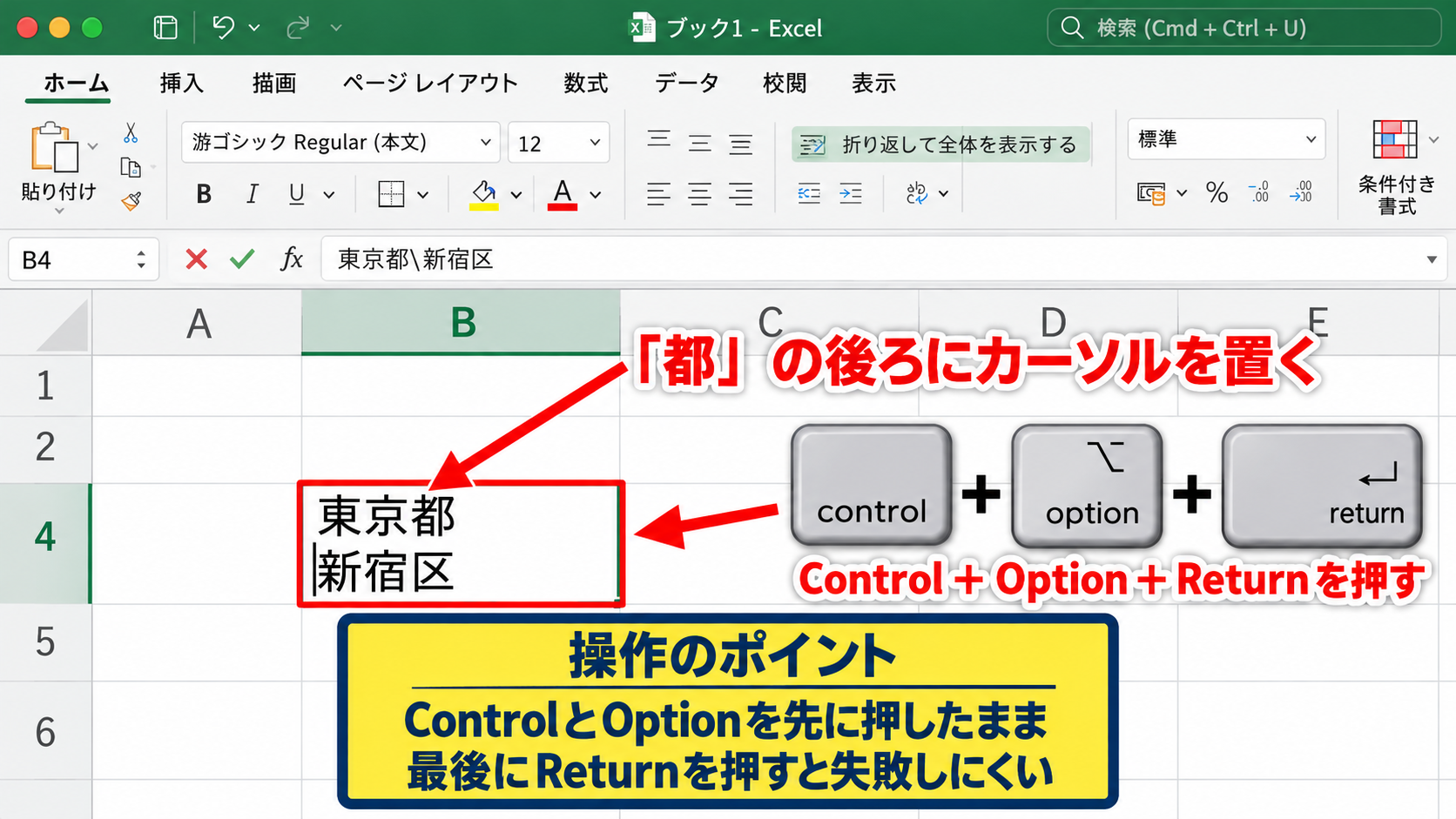 Macでセル内改行を入力する方法 - ControlとOptionとReturnを同時に押す操作