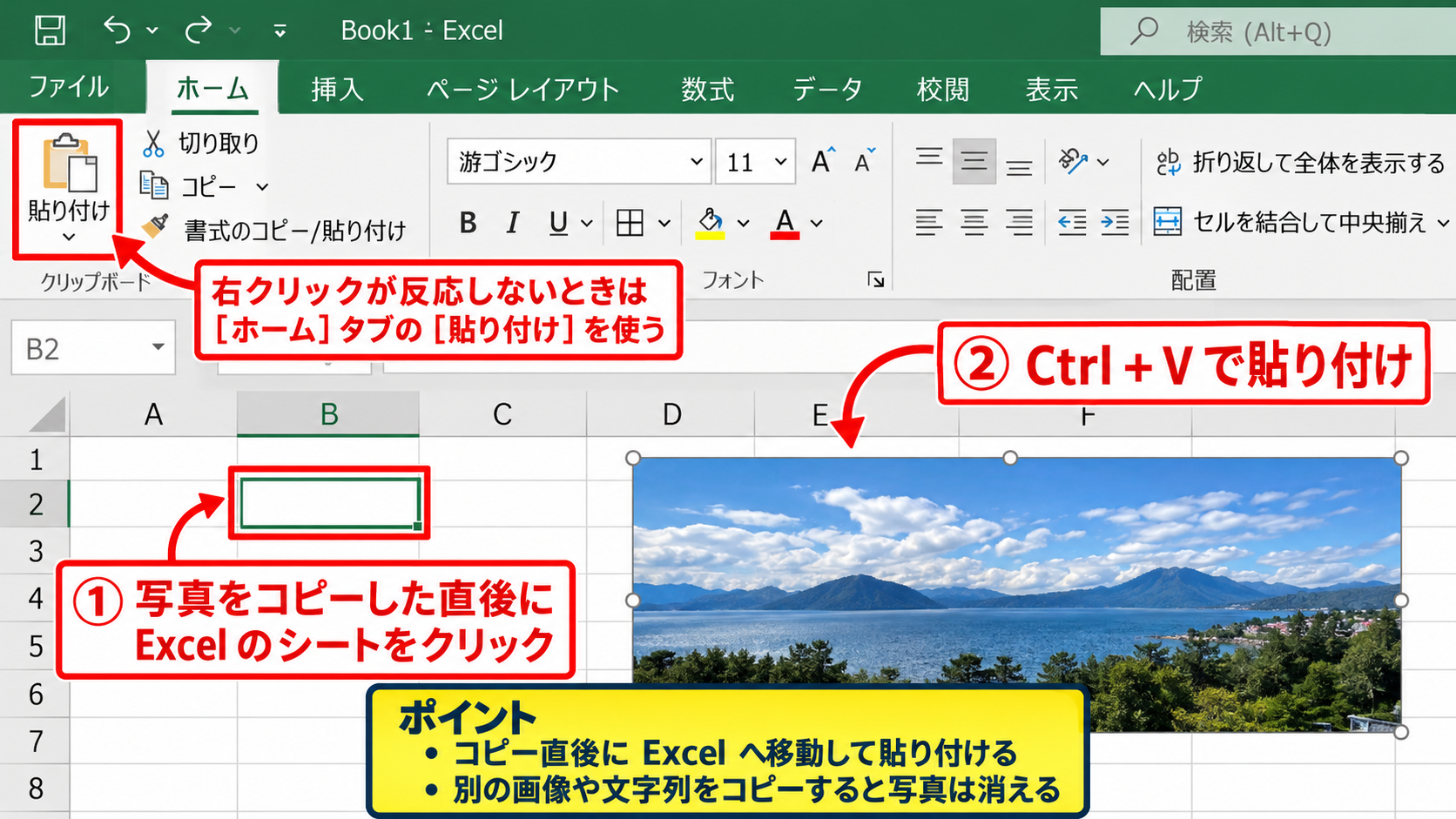 エクセルで画像を挿入できないときの基本操作 - コピーした写真を貼り付ける操作