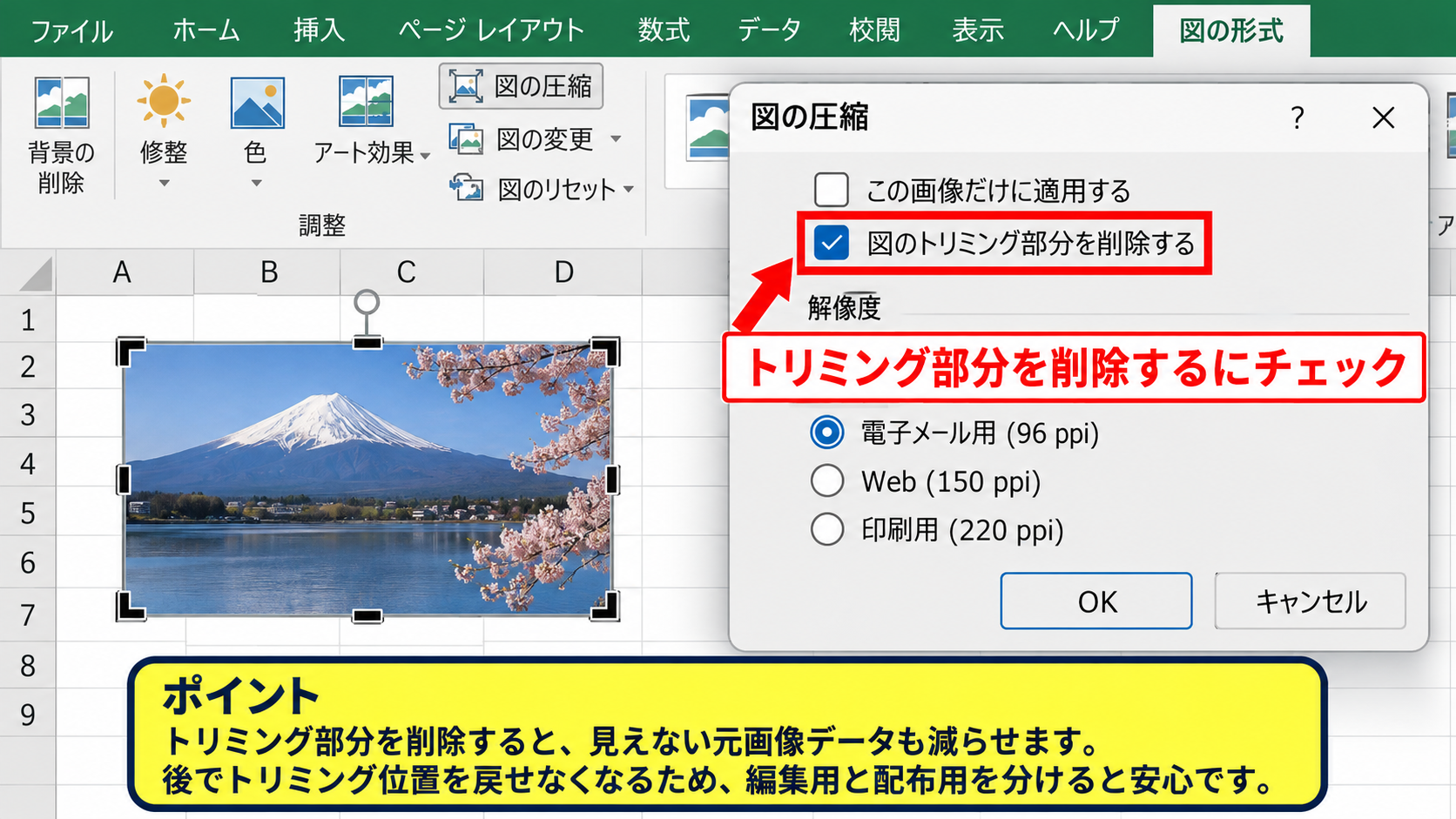 圧縮オプションと解像度の選び方 - トリミング部分を削除する設定