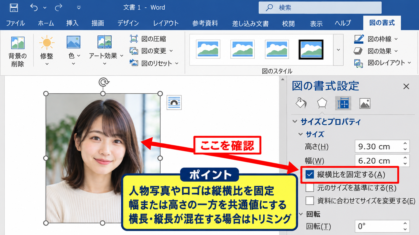 エクセルの写真サイズを統一する方法【縦横比の固定】 - 縦横比を固定する設定