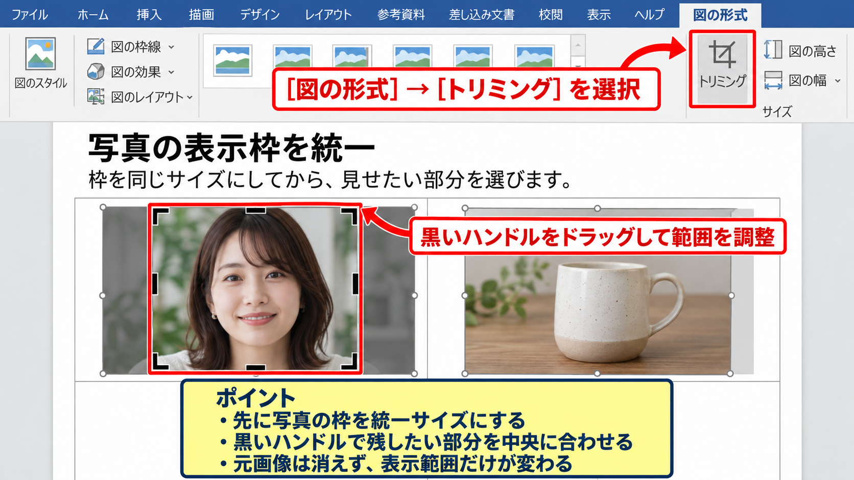 エクセルの写真サイズを統一する方法【縦横比の固定】 - トリミングによる表示枠の統一